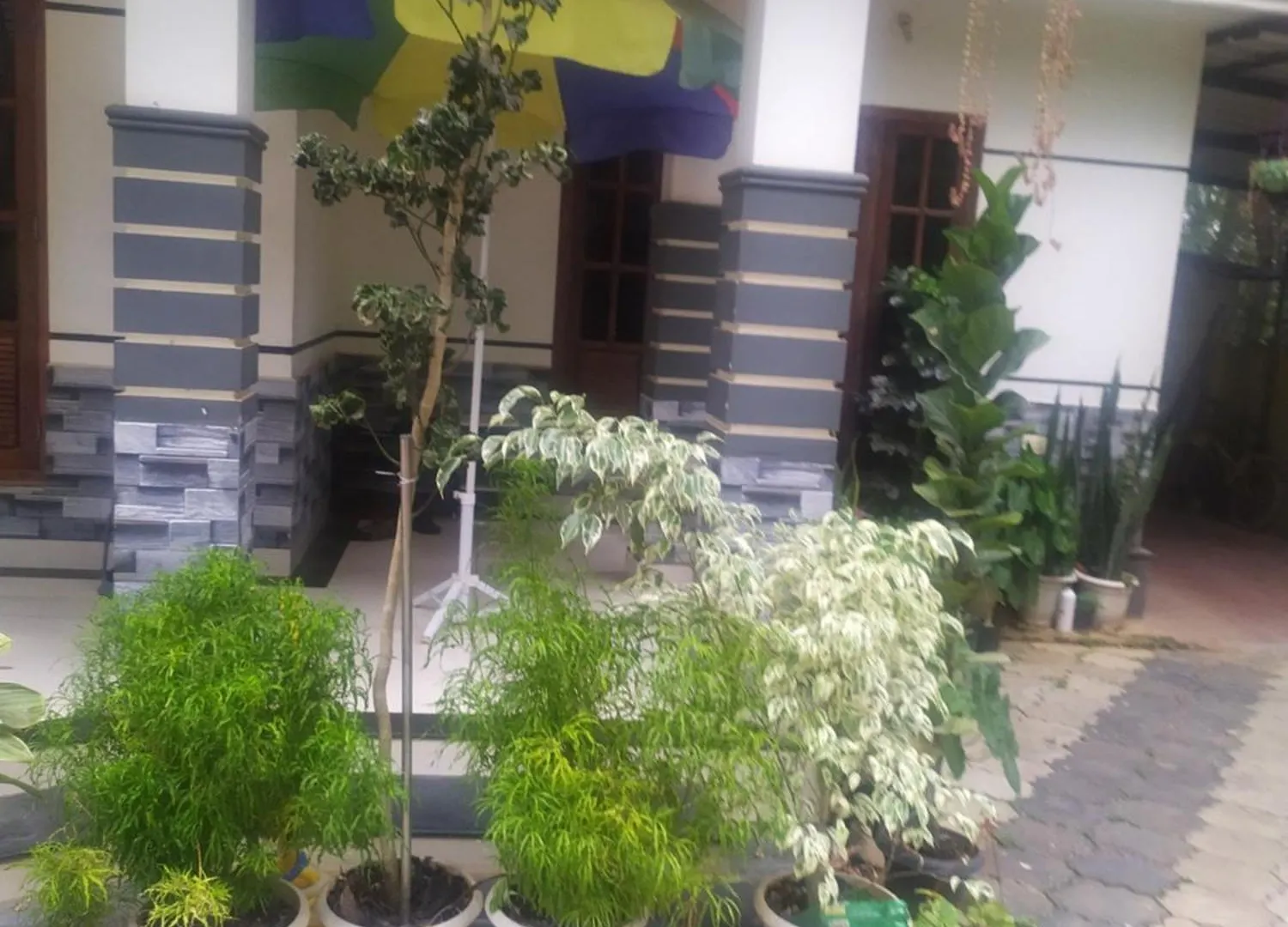 Mayoorvihar Home Stay Sulthaan Bathery Wayanad Kerala Sultan Bathery